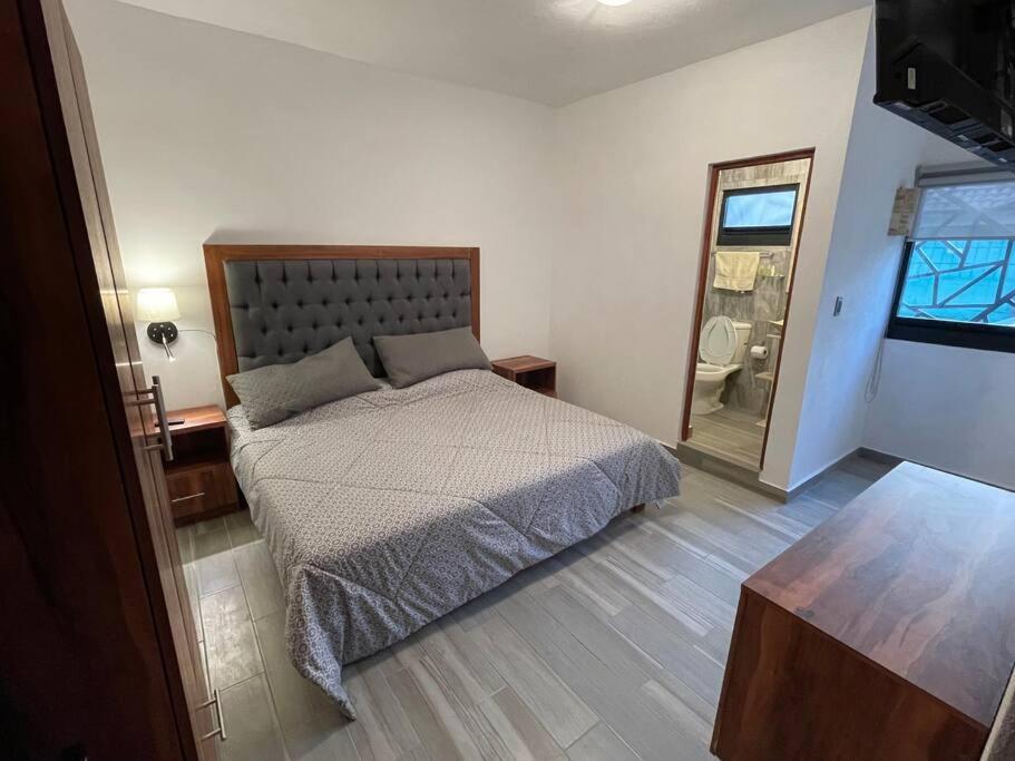 مدينة مكسيكو Suites C O V A D O N G A المظهر الخارجي الصورة
